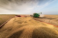 Conab estima produção total de 289,6 milhões de toneladas de grãos para safra 2021/22
