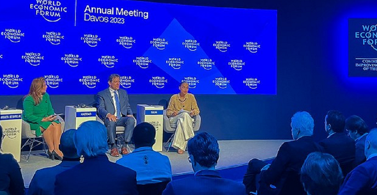 Ministro Fernando Haddad (Fazenda) e ministra Marina Silva (Meio Ambiente)