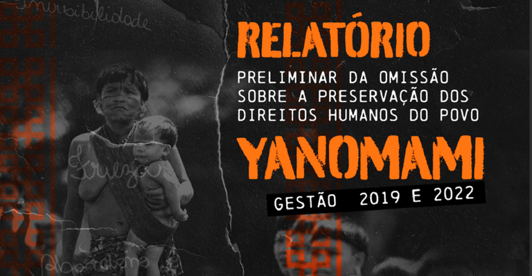 Relatório Preliminar da Omissão sobre Preservação dos DH