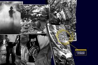 Governo Federal lança campanha de combate ao trabalho análogo à escravidão