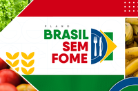 Com triagem na UBS, Ministério da Saúde vai mapear população em risco de insegurança alimentar