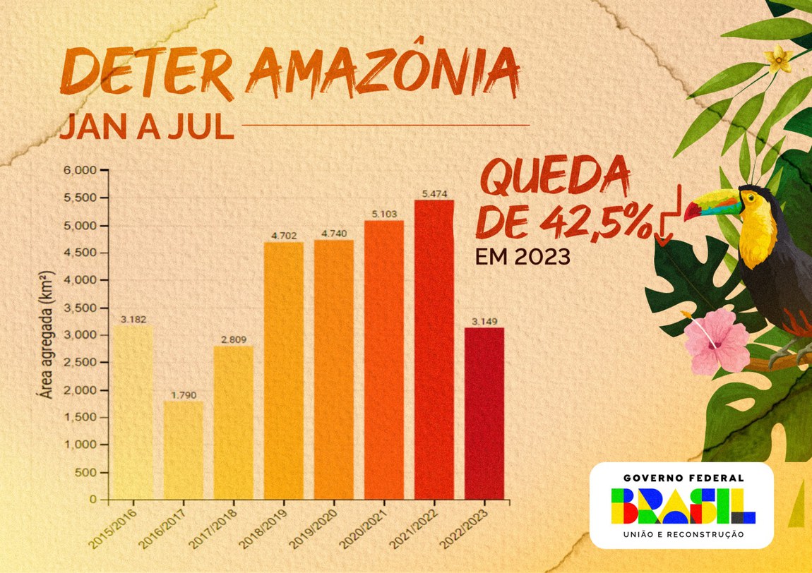 Desmatamento da Amazônia tem queda de 22% em 2023 - Greenpeace Brasil