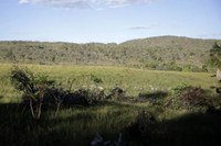 Desmatamento no Cerrado tem aumento de 3% no último ano