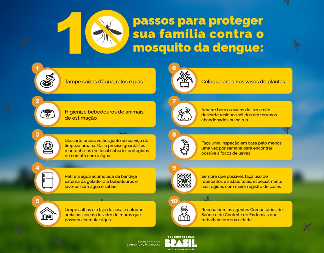 Infográfico - Dez minutos por semana para combater a dengue em sua casa