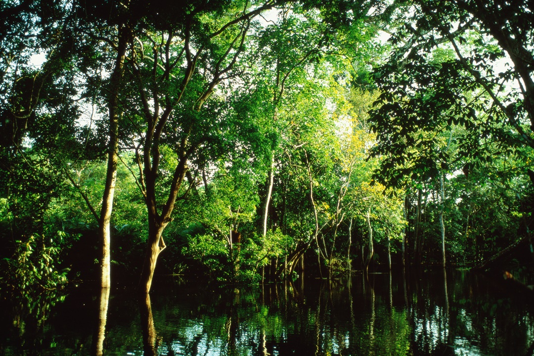 Informações também apontam queda dos alertas de desmatamento na Amazônia e no Cerrado. Plataforma que reúne dados de ações e programas do Governo Federal também traz novidades em áreas como Turismo, Saúde e Ciência e Tecnologia