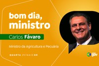 Carlos Fávaro detalha medidas para agricultores gaúchos e garantia de abastecimento no Bom Dia, Ministro