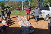 Chuvas no RS: Funai, MPI e Sesai continuam entrega de cestas de alimentos aos indígenas atingidos