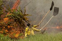 Combate a incêndios no Pantanal ganha reforço de 80 agentes da Força Nacional
