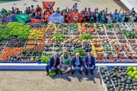 Programa Florestas Produtivas permitirá mais alimentos e restauração florestal no país