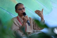 Marina Silva, em discurso na COP 16: “Reduzimos o desmatamento na Amazônia em 50% em 2023 e, este ano, em mais de 30%"