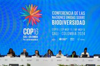 Na COP16, Brasil debate alternativas para reduzir impactos socioambientais do narcotráfico