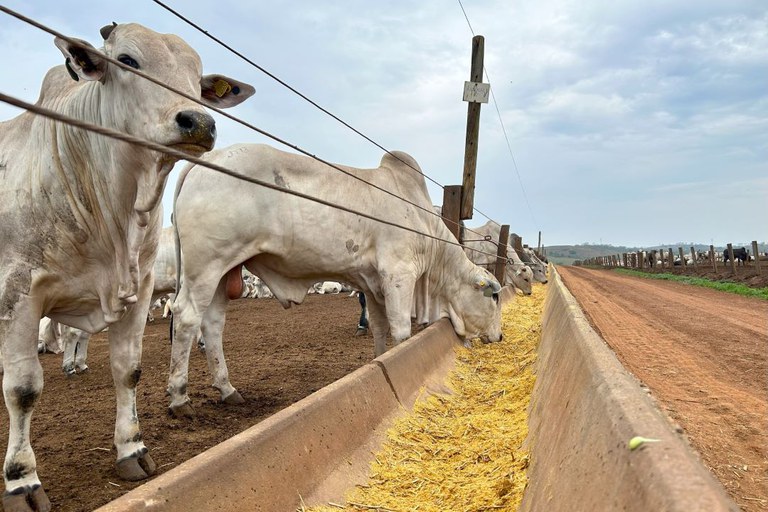 Investimento recorde de R$ 47,3 bilhões vai impulsionar desenvolvimento do Nordeste em 2025