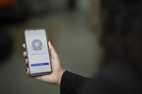 Em 2024, 14 estados registraram menor taxa de desocupação da série histórica da Pnad Contínua