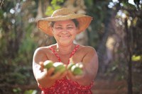 Governo abre sistema do PAA para compras da agricultura familiar