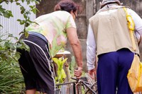 Brasil registra queda de quase 70% nos casos de dengue nos dois primeiros meses de 2025