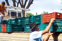 PAA: Inscrição de projetos da agricultura familiar vai até 31 de março