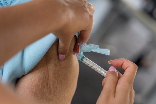 Ministério da Saúde pedirá incorporação da vacina contra Chikungunya no SUS