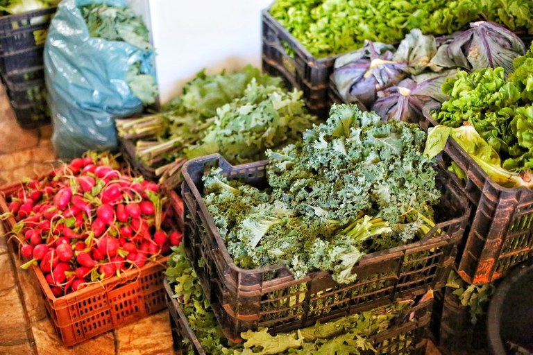 PAA adquire e distribui mais de 2,15 mil toneladas de alimentos em março