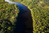 Fundo Amazônia tem melhor semestre da história com R$ 1 bilhão em aprovações