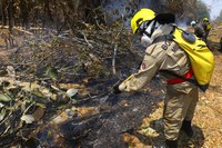 Governo Federal destina R$ 32 milhões para combater incêndios na Amazônia e no Pantanal