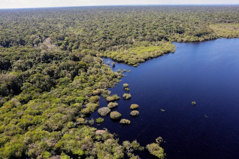 Ações do Fundo Amazônia em Rondônia já somam 178 milhões