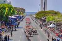 Desfile de 7 de Setembro: o que pode e o que não é permitido