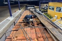 Em Pernambuco, PRF realiza maior apreensão de madeira ilegal da história em rodovias federais