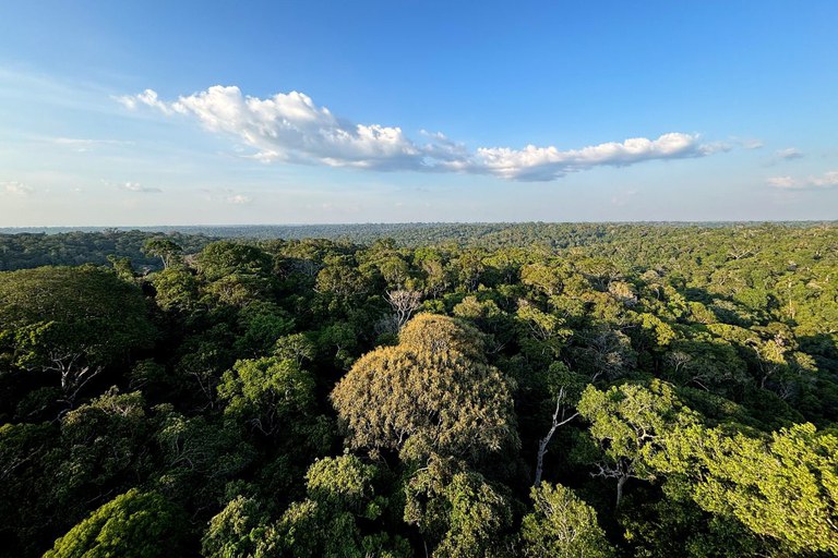 Reserva Adolpho Ducke.jpg