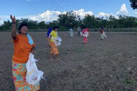 BNDES lança edital do Floresta Viva com R$ 10 mi para restauração florestal em terras indígenas de MT, TO e MA