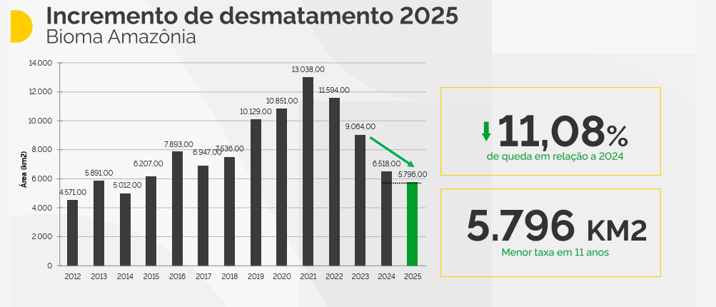 Evolução do desmatamento na Amazônia segundo a medição do Inpe 