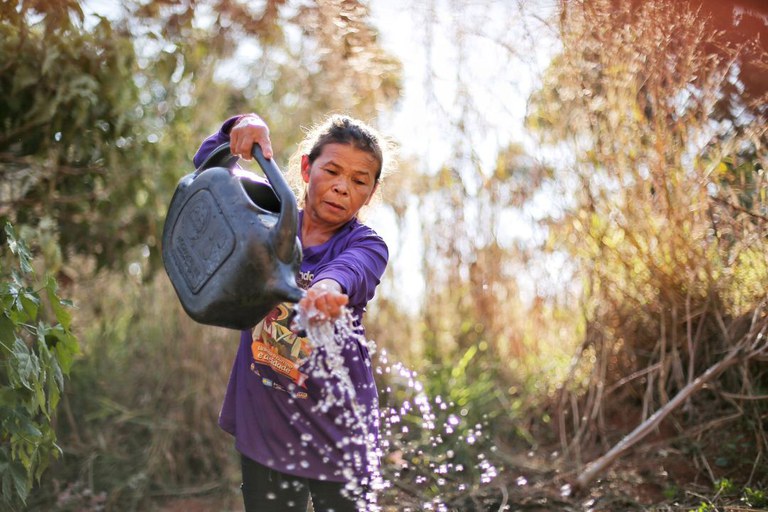 COP30: Governo do Brasil lança Marco de Sistemas Alimentares e Clima para as Políticas Públicas
