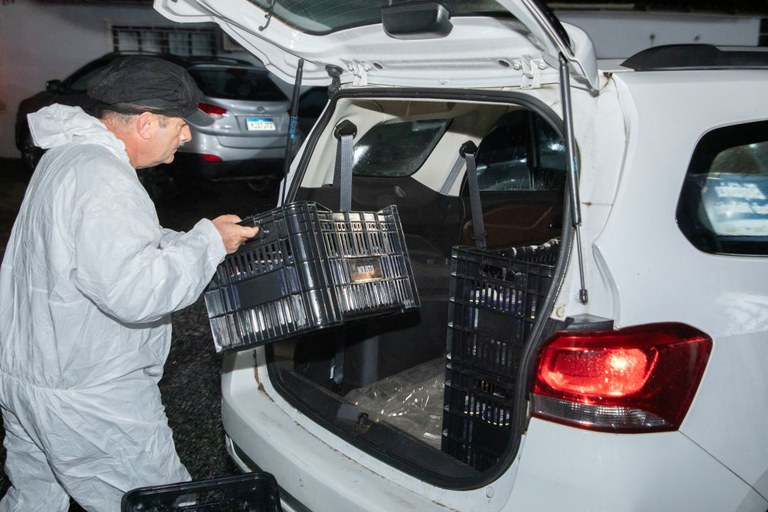 Setor de serviços atinge nono resultado positivo seguido no ano