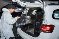 Setor de serviços atinge nono resultado positivo seguido no ano