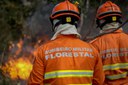 Governo Federal destina R$ 45 milhões para combate e prevenção a incêndios em Mato Grosso
