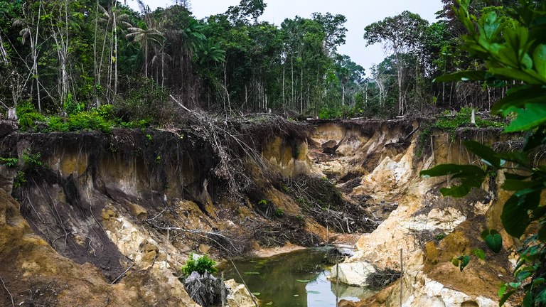 Governo cria Comissão e Plano para conter desmatamento em todos os biomas