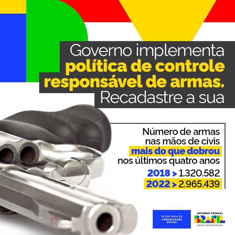 Governo Federal define prazo para recadastramento de armas - imagem