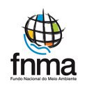 Decreto define retomada do Fundo Nacional do Meio Ambiente - Imagem