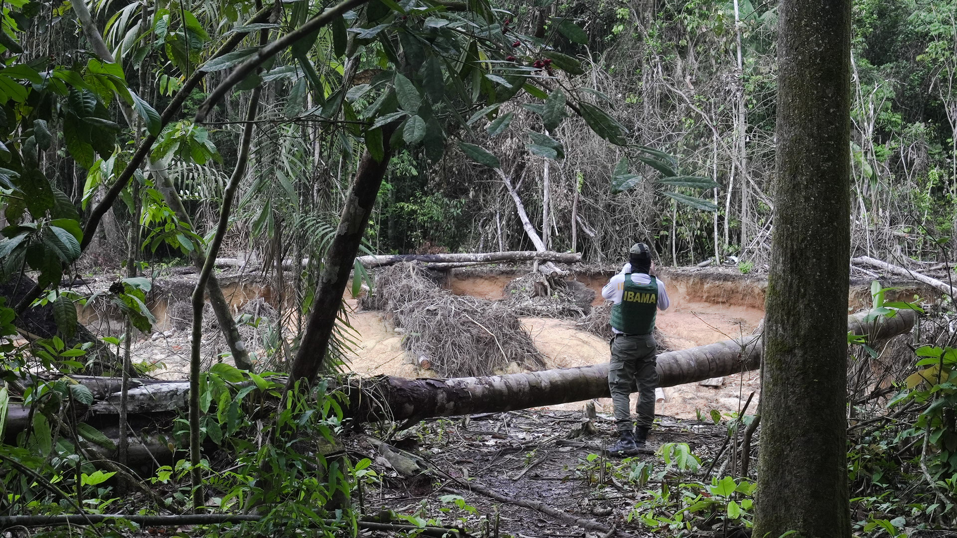Pedidos de pesquisa e mineração em terras Yanomami são indeferidos