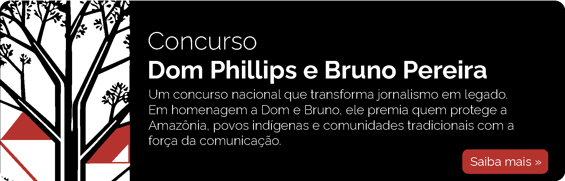 Concurso Dom Phillips e Bruno Pereira