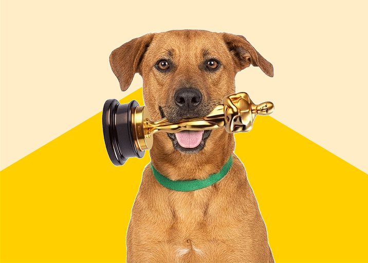 Nunca se investiu tanto na cultura local