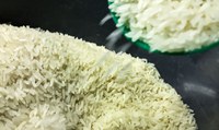 É falso que Brasil importou arroz contaminado do Paquistão