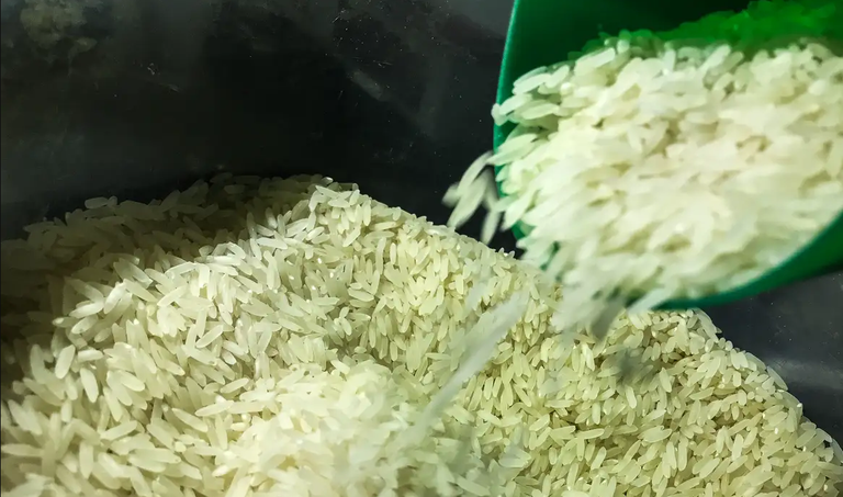 arroz importar índia