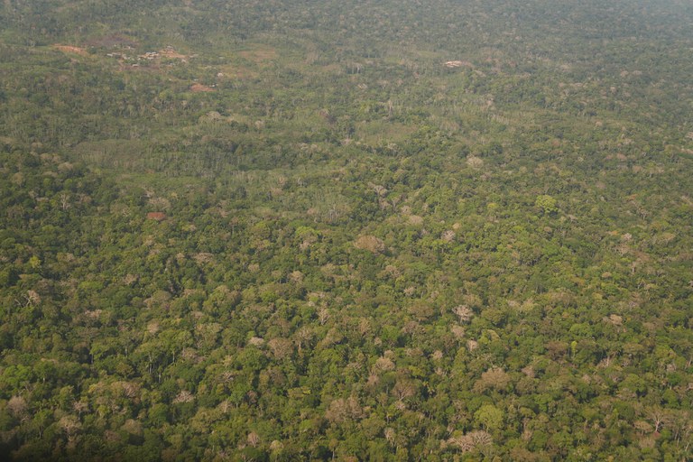 Governo Federal não está transferindo gestão de terras indígenas para iniciativa privada