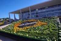 Conab não cobra taxas para doação de alimentos ou insumos