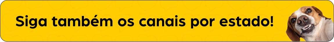 Siga também os canais por estado!