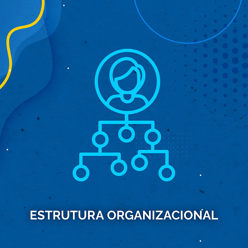 CARD TPC_D) Estrutura organizacional cópia.png