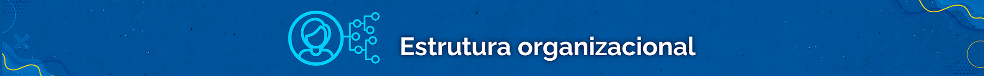 CARD_D) Estrutura organizacional.png