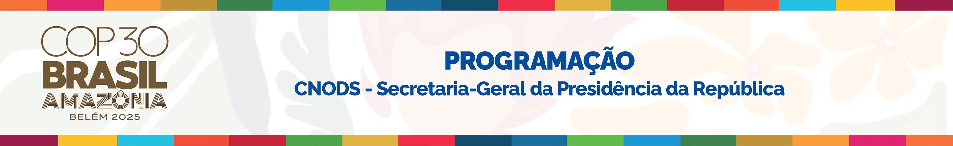 Banner CNODS COP 30-11.jpg