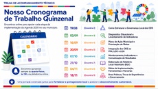 cronograma