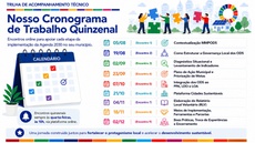 Cronograma Quinzenal